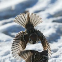 6 :: Сергей Флетчер