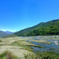 ДАГОМЫС :: Tata Wolf