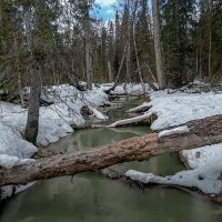 Тайга зимой :: Aleksey Afonin