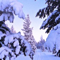 Хорошо засыпал снег :: Людмила Смородинская