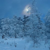 Лунная мелодия зимнего вечера :: Галина Ильясова