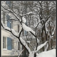 Графика зимы :: Ольга Довженко