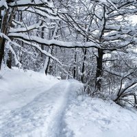 Снежная зима. :: Милешкин Владимир Алексеевич 