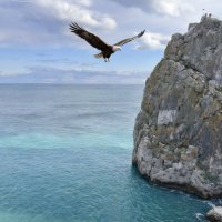 Крым. Симеиз :: Селена Родина