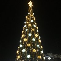 Великие Луки. Ёлка и МКС... :: Владимир Павлов