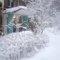 Замело :: Елена Семигина