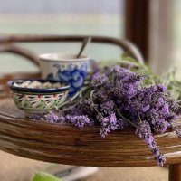 лавандовое утро :: Лена -