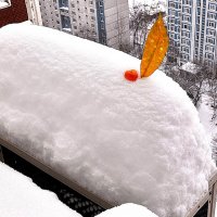 Снежная шапка,,, :: Анатолий Колосов