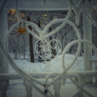 Мороз и сердце :: Андрей C