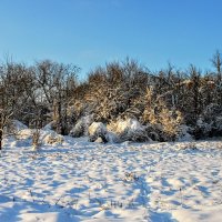 Январь. :: Владимир Январь. :: Владимир