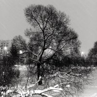 По дороге к дому. :: Василий Палий