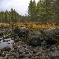 * * * :: Андрей Бобин * * * :: Андрей Бобин
