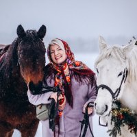 Встречаем год лошади ! :: Маргарита ( Марта ) Дрожжина