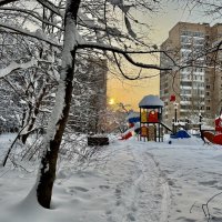 Редкое зимнее солнышко. :: Любовь 