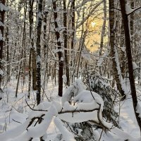 Снежным днем… :: Любовь 