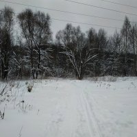 Сезон нецветной фотографии продолжается :: Андрей Лукьянов