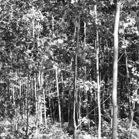 Фотография :: Денис Безногов