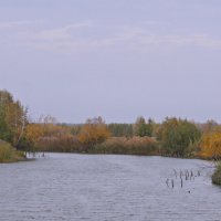 Осень и местная речка. :: сергей ермошкин