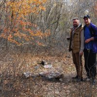 пикник :: Елена Шаламова