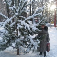 Когда- то зимой :: Елена Семигина