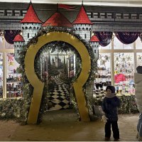 Вход в магазин. :: Валерия Комова