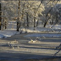 Мороз и солнце... :: Aleksandr Gal