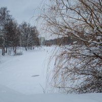 На замёрзшей речке :: Александр Синдерёв
