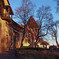 Tallinn.. :: Татьян@ Ивановна