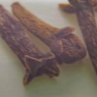 три гвоздички :: Giant Tao /