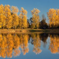 Золото осени :: Valziwa 