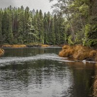 *  *  * :: Андрей Бобин