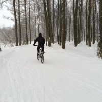 Январские покатушки :: Мария Васильева