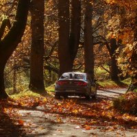 На прогулку в лес осенний :: Юрий. Шмаков