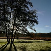 Утро :: Юрий. Шмаков