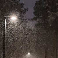 Снегопад :: nika555nika Ирина