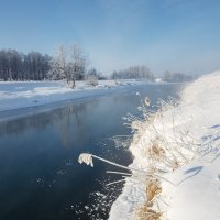 Вдоль берега реки :: NikitinAleks 