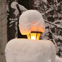 Светит среди снега :: Андрей Снегерёв