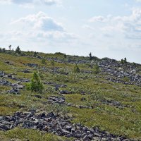 Пейзаж плато. :: ВикТор Быстров