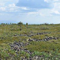 На плато. :: ВикТор Быстров