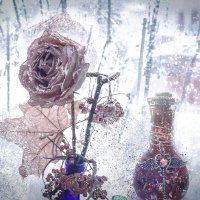 "Так свежи розы..." :: Журавлев Владимир 