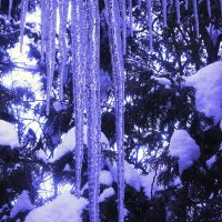 За окном :: Людмила Смородинская