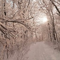 Морозные рассветы января... :: Андрей Заломленков