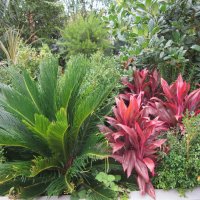 Лето в Москве. Цветы и сады :: Дмитрий Никитин