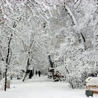В Центральном парке :: Галина Нестратова