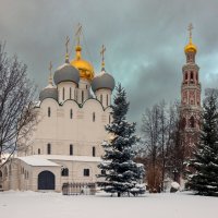 Новодевичий монастырь :: skijumper Иванов