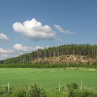 Вблизи местечка Руотсала (Ruotsala) :: Александр Ильчевский 