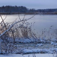 В окрестностях Калининграда :: Рита Симонова