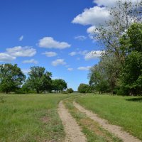 **** :: Виктор 