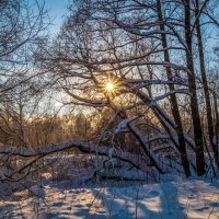 Мороз и Солнце :: Андрей Дворников