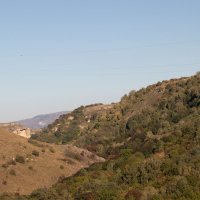 Аликоновское ущелье :: navalon M